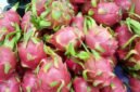 Manfaat Buah Naga bagi Kesehatan. (Pixabay.com/BuyMeACoffee)