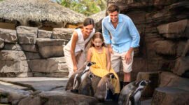 Bali Magical Adventure – Marine Safari Bali Brings a New Wave of Ocean Discovery to Southeast Asia
